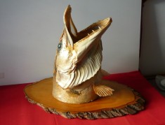 TROFEU STIUCA PE PANOPLIE