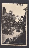 Carte Postala Calimanesti Valcea - Vedere de pe Olt, Necirculata, Fotografie