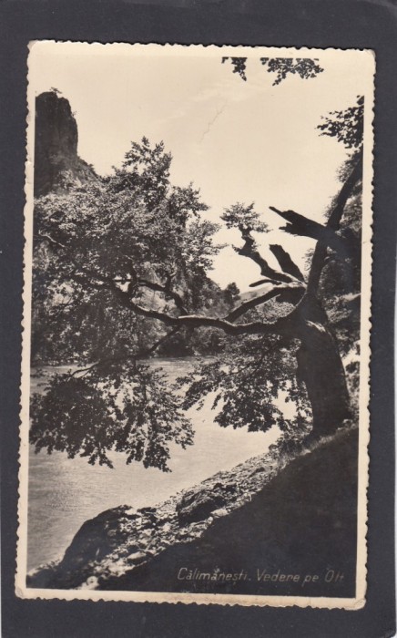 Carte Postala Calimanesti Valcea - Vedere de pe Olt