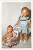 TD3 -Carte Postala- GERMANIA - Schildkrotpuppen um 1940/50