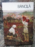 RUXANDRA DREPTU - BANCILA