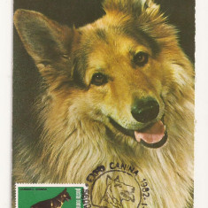 CA8 - Carte Postala -Expo Canina 1982-Ciobanesc German,Necirculata