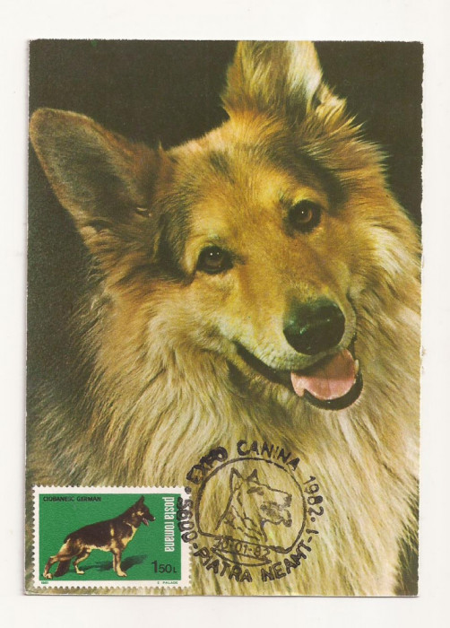 CA8 - Carte Postala -Expo Canina 1982-Ciobanesc German,Necirculata