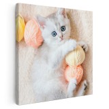 Tablou pisica jucandu-se cu gheme de lana Tablou canvas pe panza CU RAMA 40x40 cm