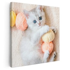 Tablou pisica jucandu-se cu gheme de lana Tablou canvas pe panza CU RAMA 30x30 cm