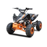 Cumpara ieftin ATV Raptor 004 125 Roata pe 7&amp;quot; automat cadru mare