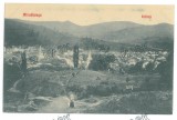 4478 - ABRUD, Alba, GOLD MINE, Panorama, Romania - old postcard - unused