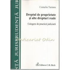 Dreptul De Proprietate Si Alte Drepturi Reale - Corneliu Turianu