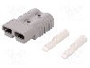 Conector alimentare DC, 0,6kV, 2 pini, seria SB&reg; 175, {{Dimensiune pin}}. ANDERSON POWER PRODUCTS - 6325G5
