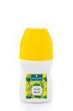 Deodorant Roll-On Mystic Elixir, 50ml, Pierre Cardin