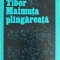 MAIMUTA PLANGAREATA-BALINT TIBOR-273301