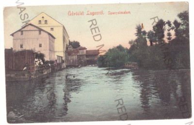 1602 - LUGOJ, Timis, Inundatiile, Romania - old postcard - used - 1907 foto