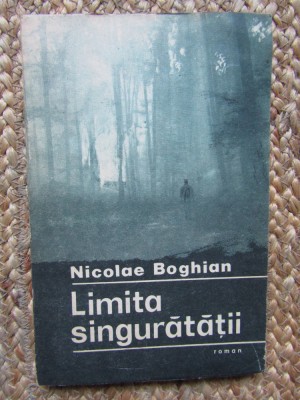 Limita Singuratatii - Nicolae Boghian foto