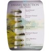 Set Muste Shakespeare Sigma Fly Selection No4 Damsel Selection