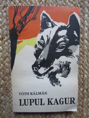 Toth Kalman Lupul Kagur, Albatros foto