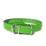 Zgarda Ropet din piele cu strasuri, pentru caini, 55cm/25mm, Verde