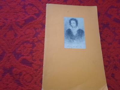 SHELLEY de DAN GRIGORESCU RF21/0 foto