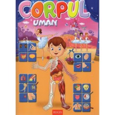 Corpul uman, Alexandru Andrei