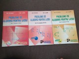 PROBLEME DE ALGEBRA PENTRU LICEU ION PETRICA-3 VOLUME 19/4