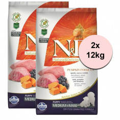 Farmina N&amp;D GF PUMPKIN puppies medium/maxi, lamb &amp; blueberries 2 x 12kg