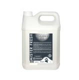 Sampon caini Diamex Mister Fresh, 5L, profesional, parfum persistent, neutralizeaza mirosuri, dilutie 125ml/1L