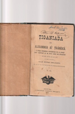 IOAN BUDAI DELEANU - TIGANIADA ( 1900 ) foto