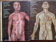 Human Anatomy Vol.1-2 - M. Prives N. Lysenkov V. Bushkovich ,285546 foto