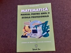 MATEMATICA MANUAL PENTRU ANUL II SCOALA PROFESIONALA GEORGETA GHICIU NICULAE GHICIU