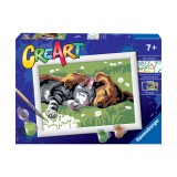 Pictura Pe Numere - Catelus Si Pisicuta, Ravensburger