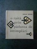 VASILE BARAN - O RAITA PRIN PADUREA DE INTAMPLARI