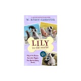 Lily to the Rescue Bind-Up Books 1-3: Lily to the Rescue, Two Little Piggies, and the Not-So-Stinky Skunk