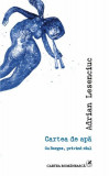 Cartea de apă. Cu Borges, privind r&acirc;ul - Paperback brosat - Adrian Lesenciuc - Cartea Rom&acirc;nească
