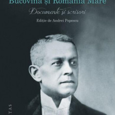 Iancu Flondor, Bucovina și România Mare - Paperback brosat - *** - Humanitas