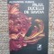 Alexandre Dumas - Pajul ducelui de Savoia