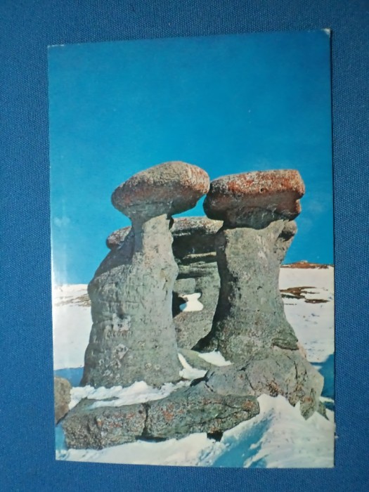 MUNTII BUCEGI BABELE