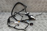 Cablaj ușă st&acirc;nga spate TESLA MODEL Y 2022 OEM: 1489053-00-E 21699167