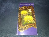 Cumpara ieftin CRIZANTEMA DE AUR AM INCEPUT SA NTINERESC 1977