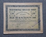 Actiune 1922 Intrep. forestiere romane din Cluj , titlu 10 actiuni