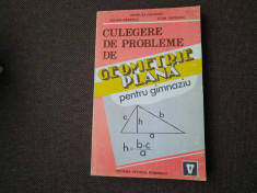 CULEGERE DE PROBLEME DE GEOMETRIE PLANA PENTRU GIMNAZIU - PETRUTA GAZDARU, 1994 foto