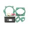 Set garnituri cilindru motocoasa china