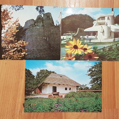 Set 3 carti postale (vederi) Targu Neamt. Necirculate