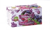 FRUCTE DE PADURE 20DZ, Adserv