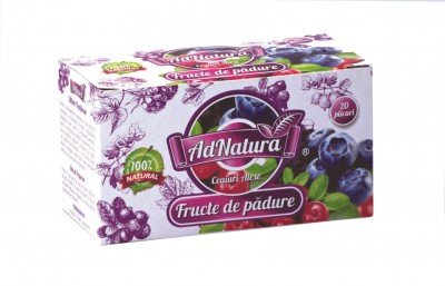 FRUCTE DE PADURE 20DZ foto