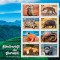 BURUNDI 2023 FAUNA BIODIVERSITATE