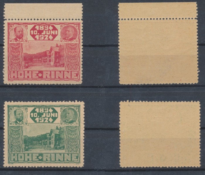 Posta locala Paltinis - Hohe Rinne - 1924 serie 2 erori neuzate cu soare pe cer &amp; fara ornament pe Sanatoriu, MNH