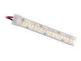 Bandă LED Alb Rece 24V IP65