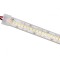 Bandă LED Alb Rece 24V IP65