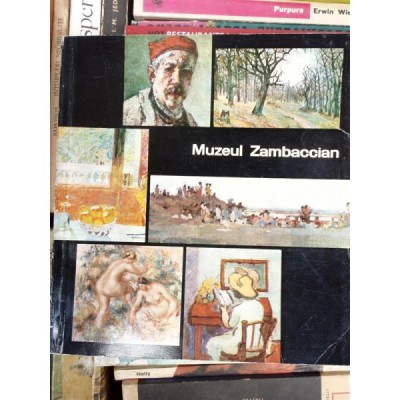 MUZEUL ZAMBACIAN , RADU BOGDAN foto