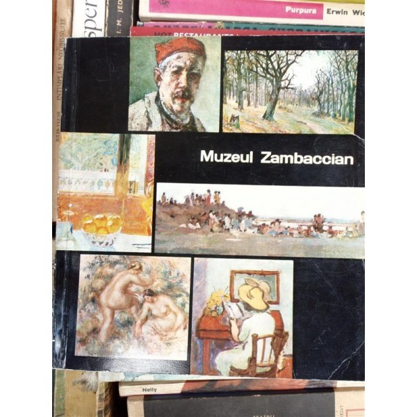 MUZEUL ZAMBACIAN , RADU BOGDAN