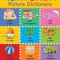French-English Picture Dictionary